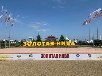 Золотая Нива 2023